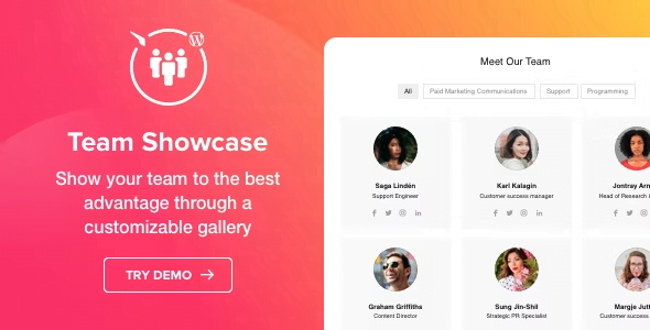3. Team Showcase – WordPress plugin
